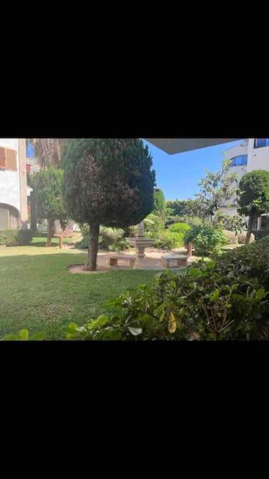 Estudio Montanar A 50 Metros Del Mar Jávea Exteriör bild